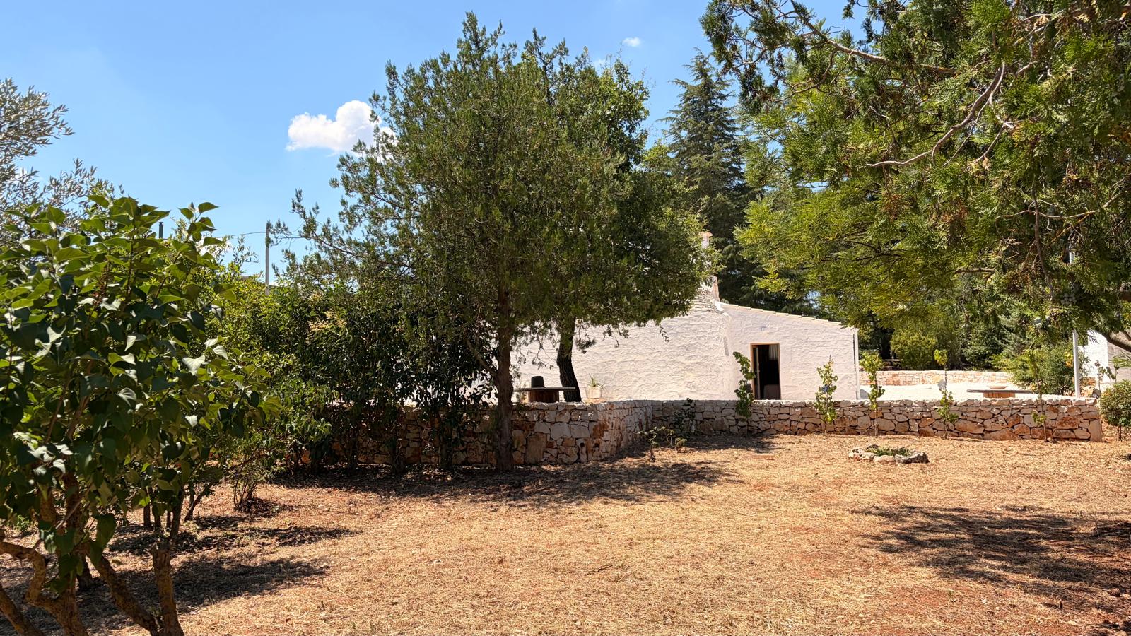 Trulli Comunicanti, Restaurati con Antico Camino, Ulivi Secolari.